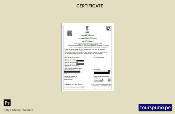 listo para imprimir plantilla de certificado de defunción del Gobierno de Rajast